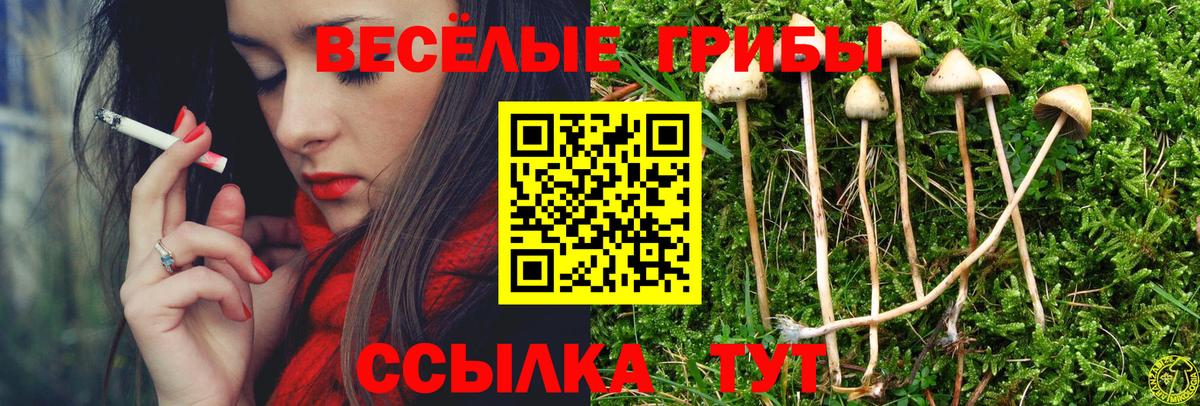 Галлюциногенные грибы MAGIC MUSHROOMS  Псилоцибиновые грибы ЛСД  Вход с VPN  как найти наркотики  Сланцы 