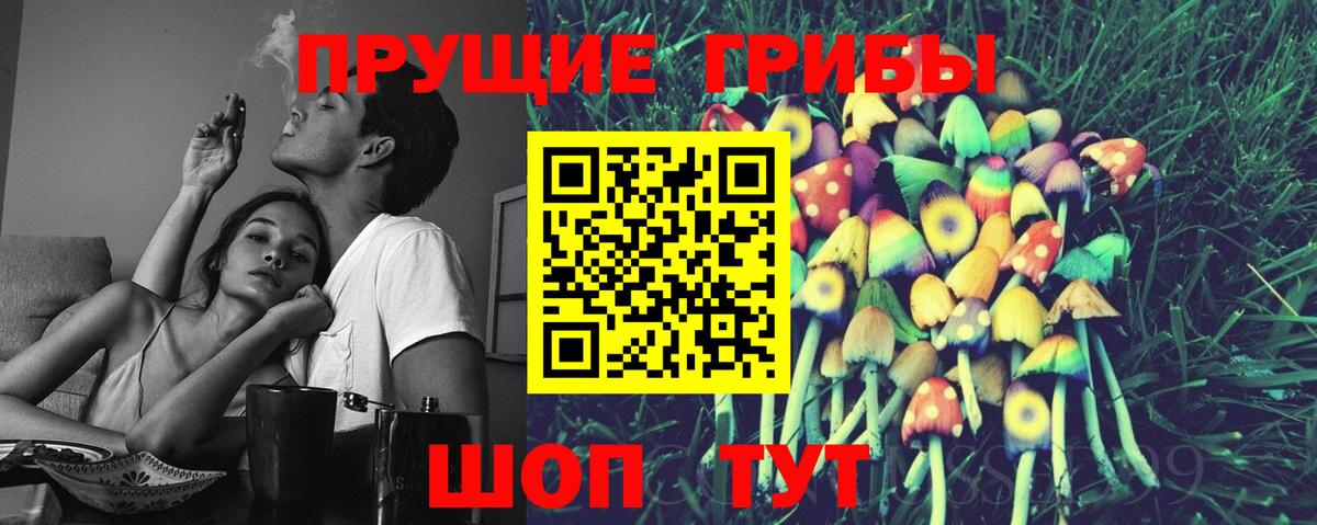 Галлюциногенные грибы MAGIC MUSHROOMS Сланцы