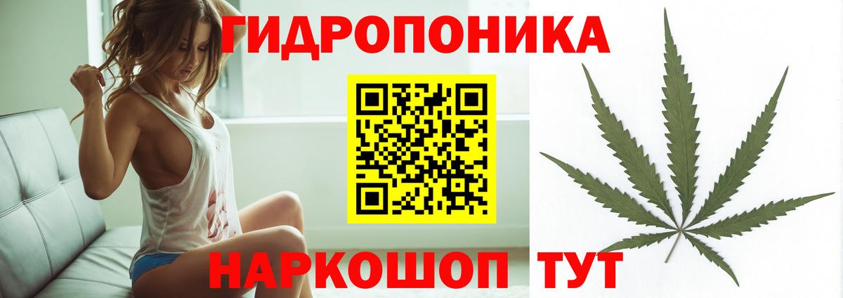 Конопля сатива  Марихуана индика  Вход с VPN  Марихуана SATIVA & INDICA  Сланцы 